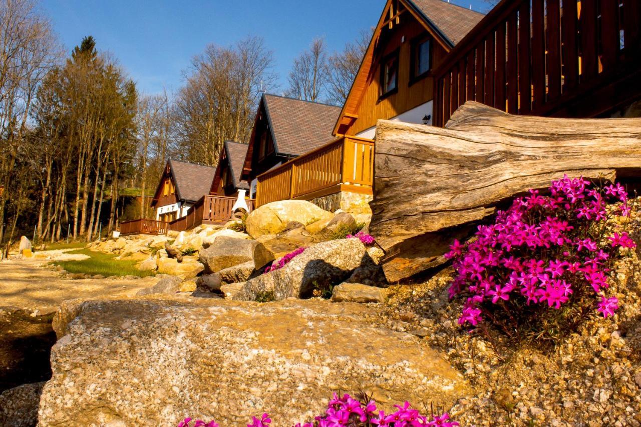 Chalupy Pod Lipami Szklarska Poręba Exterior foto